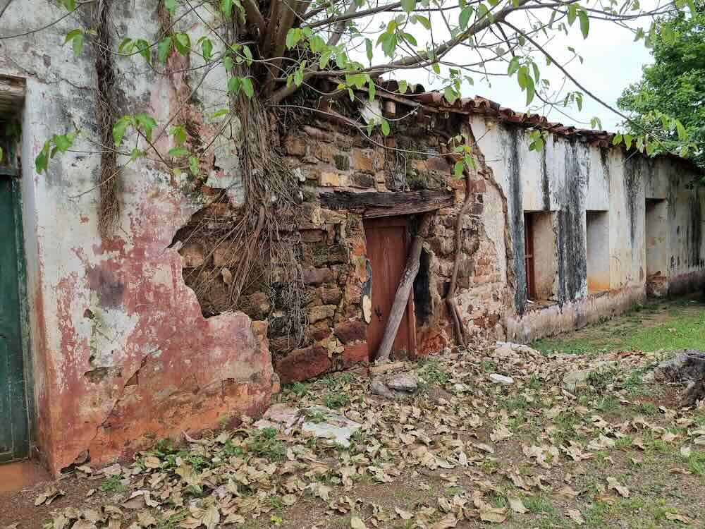 Carrito de golf exclusivo 
