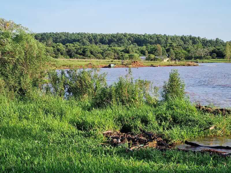 Comunidad Guaraní Pindó