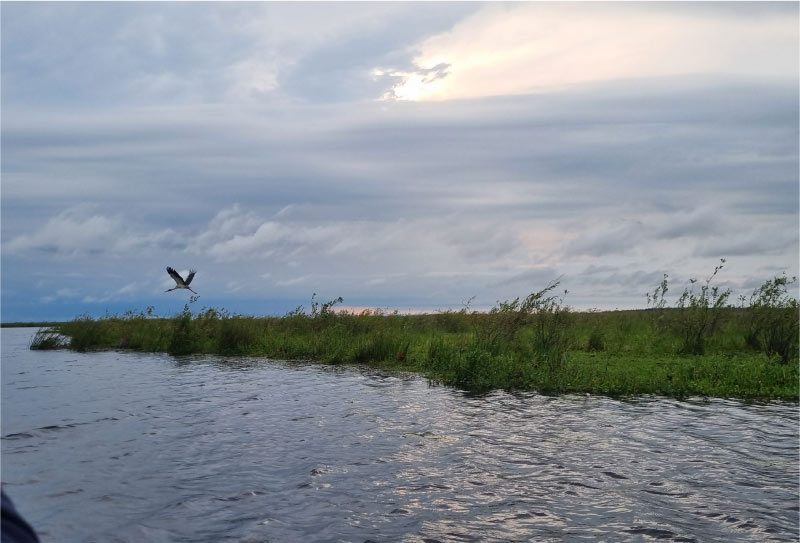 Esteros del Iberá (Argentina)
