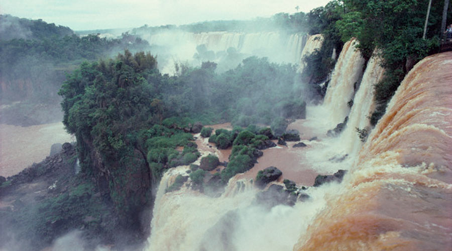Captivating Buenos Aires and the jungle including Iguazu Falls