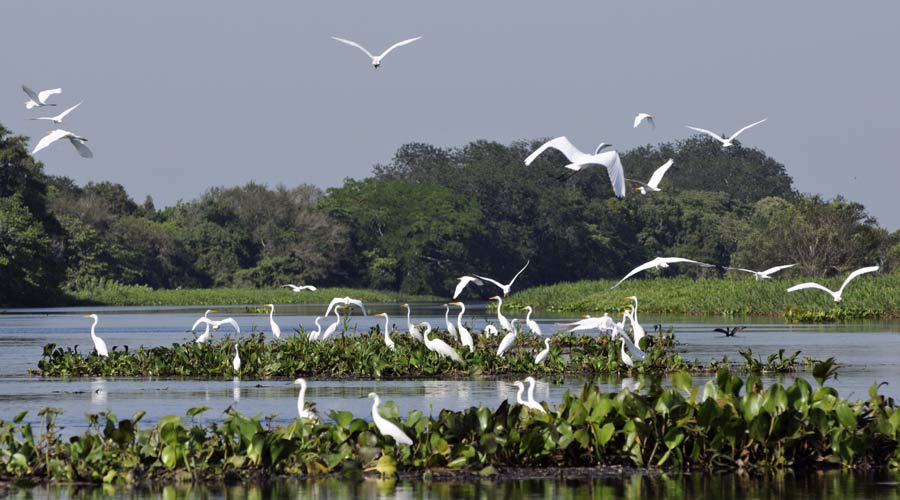 Paraguay and The Pantanal off the beaten track