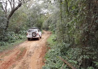 Off Road Tours